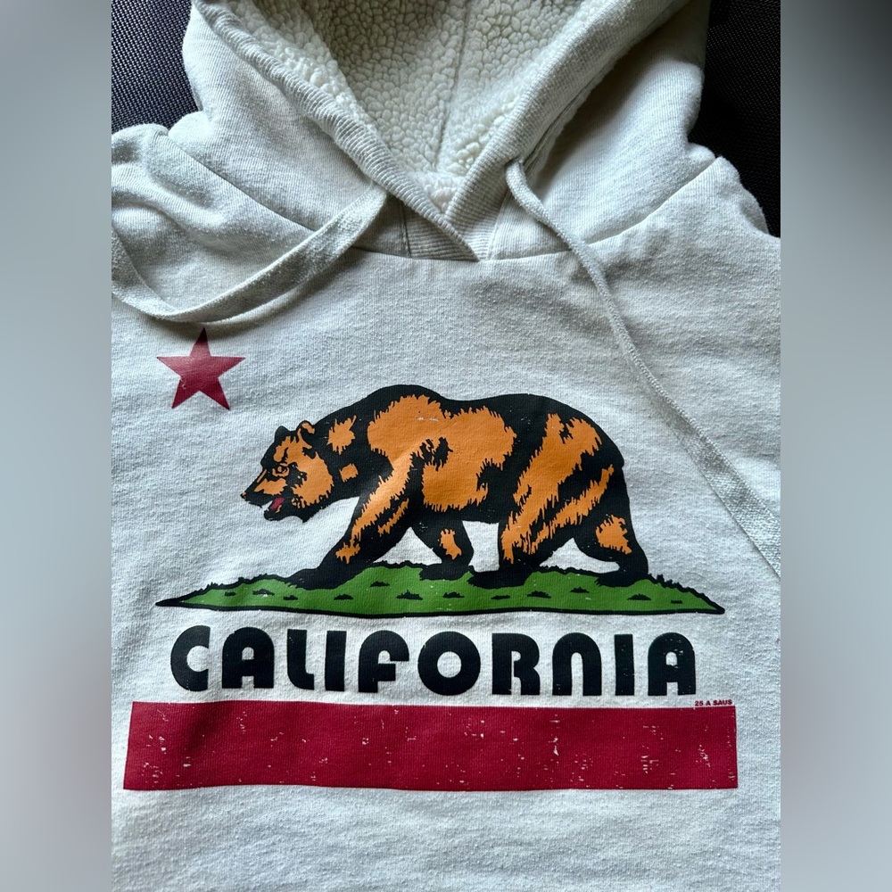 California Bear Graphic Hoodie